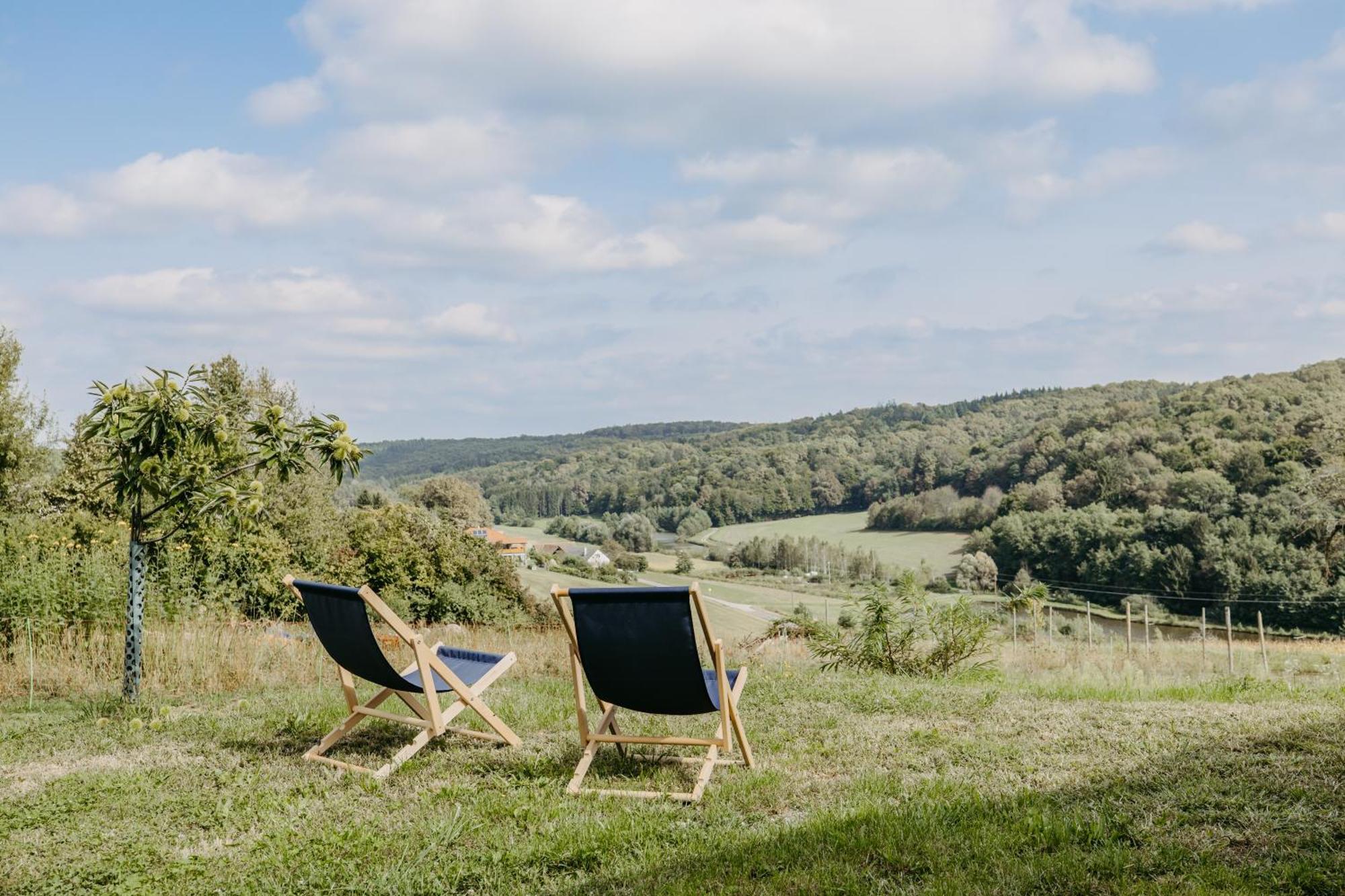 Kaeferberghof Im Burgenland, Komfortzimmer Mit Fruehstueck, Bed & Breakfast, Urlaub Am Bauernhof Eltendorf 外观 照片